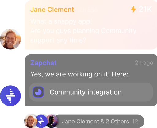 Direct messaging between users and developers
